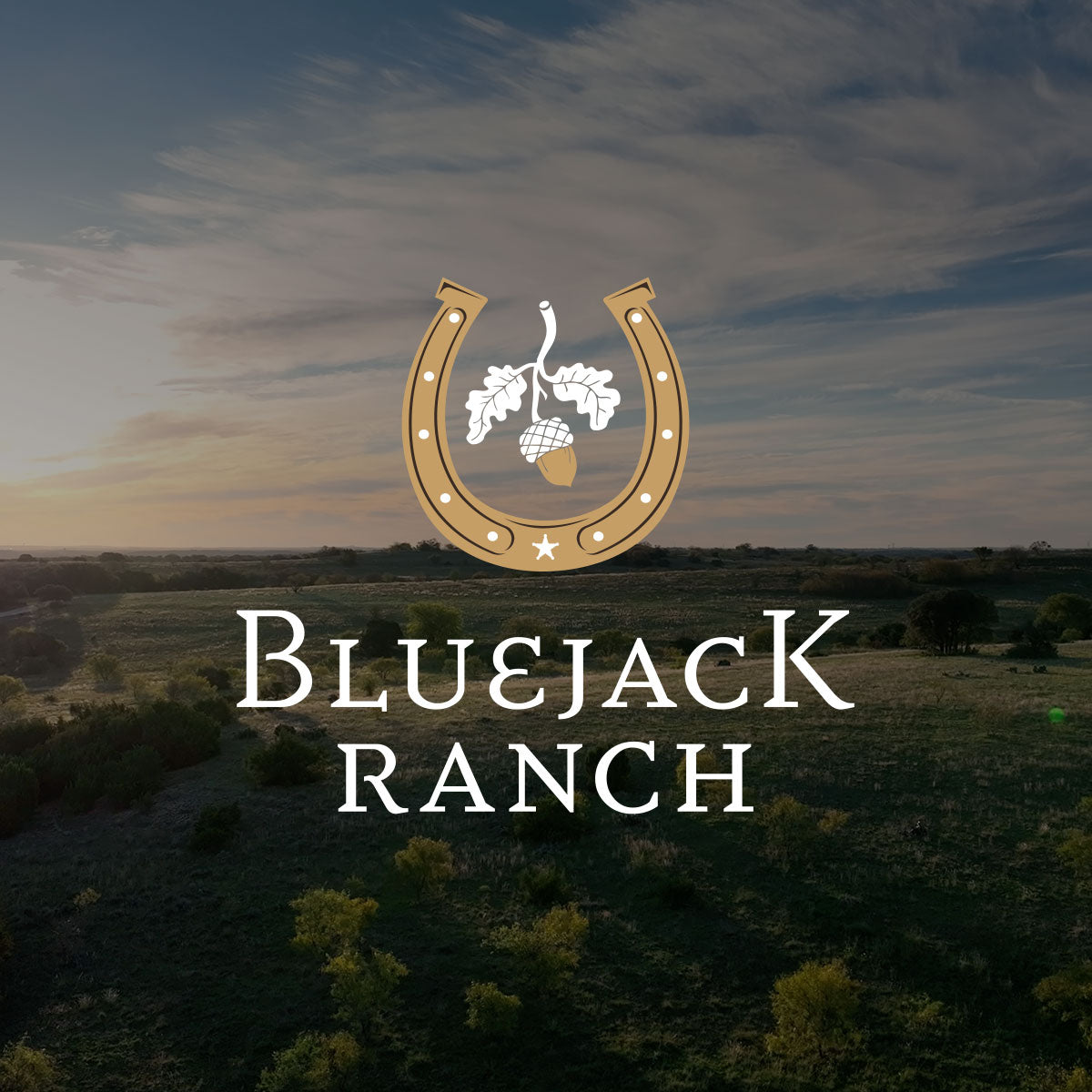 Bluejack Ranch X Criquet